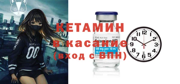 стаф Пересвет