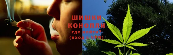 ГАЛЛЮЦИНОГЕННЫЕ ГРИБЫ Алексеевка