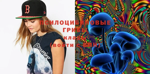 ГАЛЛЮЦИНОГЕННЫЕ ГРИБЫ Алексеевка