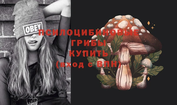 экстази Алексин
