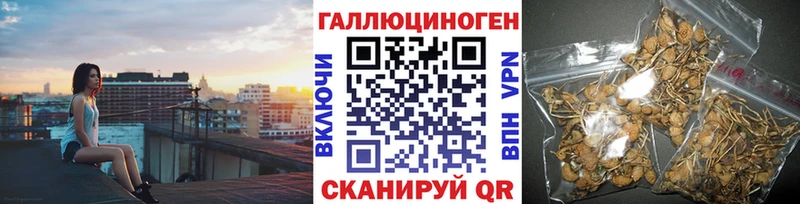Псилоцибиновые грибы Psilocybe  что такое наркотик  Заполярный 